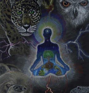 Meditation human with animal power animals around